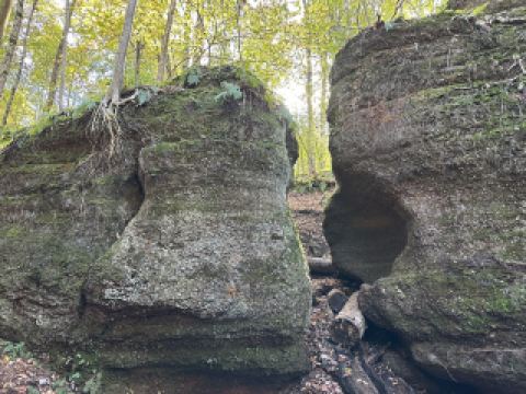 據推估這是24,000年前.一層厚厚的冰河從北方移動.覆蓋了這個州立公園所在的土地.在這次被稱為「威斯康辛冰川期」的事件中.向南移動的冰川侵蝕了 鬆軟的地層.使該地區變得平坦.除了這個公園以外.
公園與國道422線是相鄰的.很容易到達.但要留意公園內的路線標示.以免迷路.裡面的奇岩怪石很多.記得注意腳下是否的安全