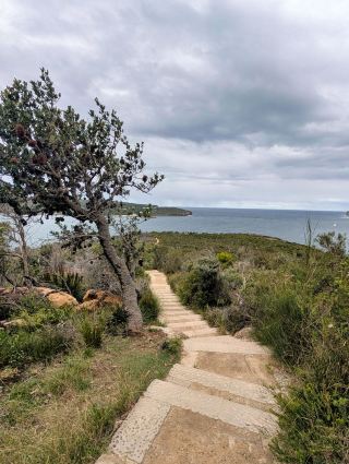 Manly to Spit Walk 🌿 One of Sydney’s Best Harbour Walks