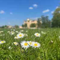 Schloss Garden… gorgeous Schwerin!