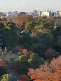 到處都是螢火蟲@ホテル椿山荘東京