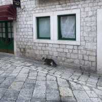 Peaceful Croatia city - split 