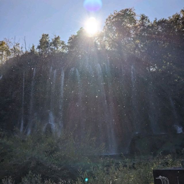 【クロアチア】エメラルドの湖 ✕ 紅葉のコントラス！プリトヴィツェ湖畔国立公園