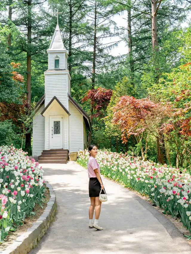 🌷 아침고요수목원 🌺