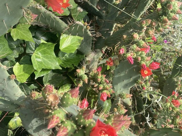 五漁村的第三個村Corniglia