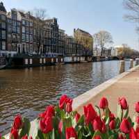 Garden of  Europe🌷🌹🌷