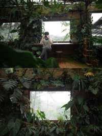  akipu homestay