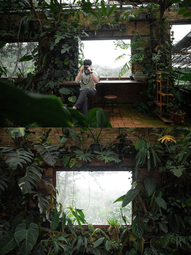  akipu homestay