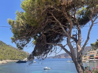 Beautiful town of Assos