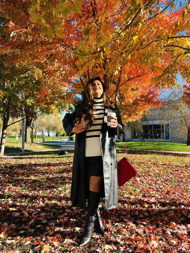 가을의 캐나다 🍁