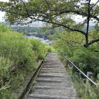 A must-visit to Mount Wakakusa in Japan! ⛰️ 