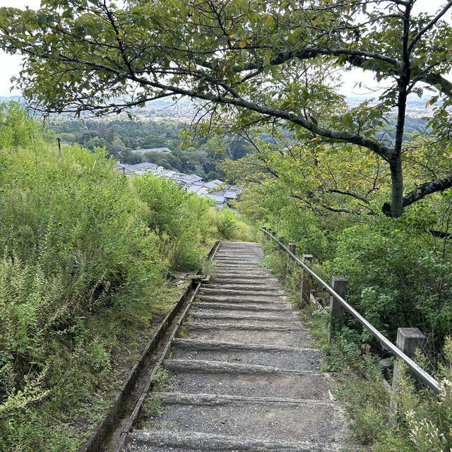 A must-visit to Mount Wakakusa in Japan! ⛰️ 