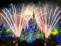 Walt Disney World Resort: The adventure that you will not forget!