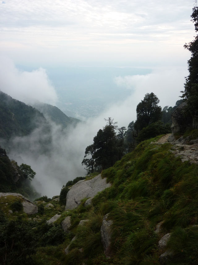 Triund Hike, Dharamshala