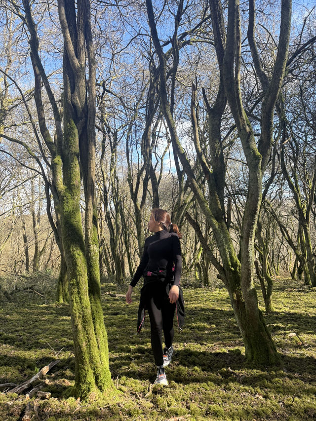 Exploring the enchanting Surrey Hills! ✨🌿