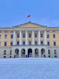 【ノルウェー🇳🇴】落ち着いた空気の美しい街、オスロでの一日満喫ルート 🌲