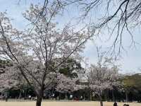 Kure City's world-famous shipbuilding technology