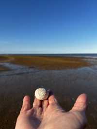 Whitstable 