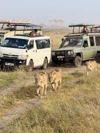 Nairobi National Park – Wildlife on the City’s Edge 🦏