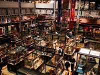 Cabinets of Curiosity: Exploring Pitt Rivers