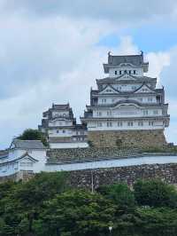 🇯🇵 My Ultimate 3-Week Japan Itinerary: Culture, Nature & City Buzz in One Epic Trip 🌸