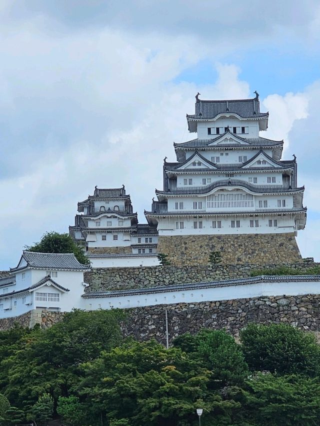 🇯🇵 My Ultimate 3-Week Japan Itinerary: Culture, Nature & City Buzz in One Epic Trip 🌸