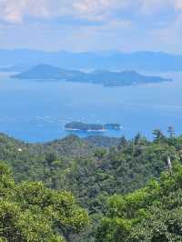⛩️ Miyajima Island Day Trip: Floating Torii Gate & Local Culture