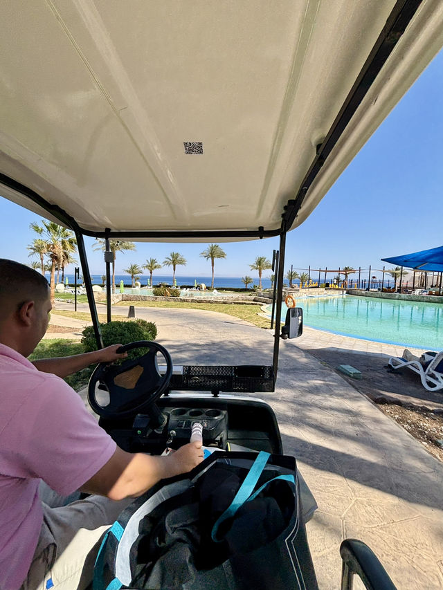  Sinai sea with a tropical touch!