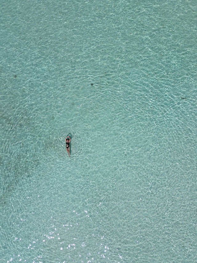 #maldives# pristine nature# diving#sandbank