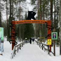 🇫🇮Finland 6-Day Itinerary
