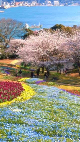  Hinoyama Park (Shinoyama Park), Yamaguchi — Scenic Hilltop Escape