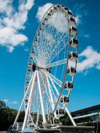 🌴 Botanical Escapes in the Heart of Brisbane