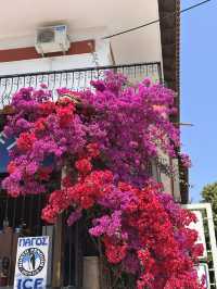 Kallithea