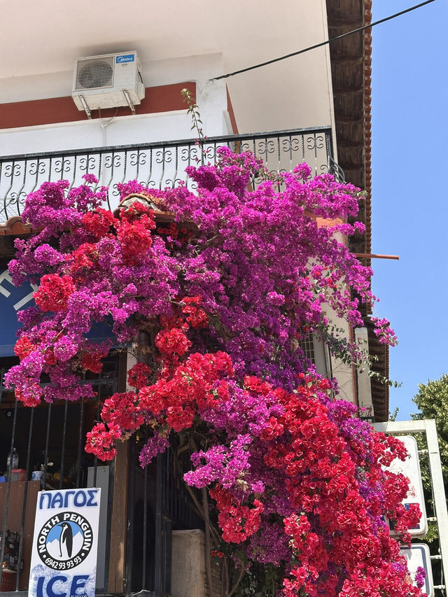 Kallithea