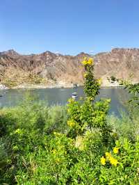 Day trip to the northern Emirates: Khorfakkan (UAE)