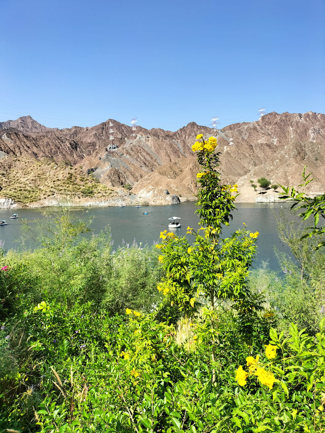 Day trip to the northern Emirates: Khorfakkan (UAE)