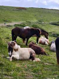 Seven Sisters Hike Seaford to Eastbourne