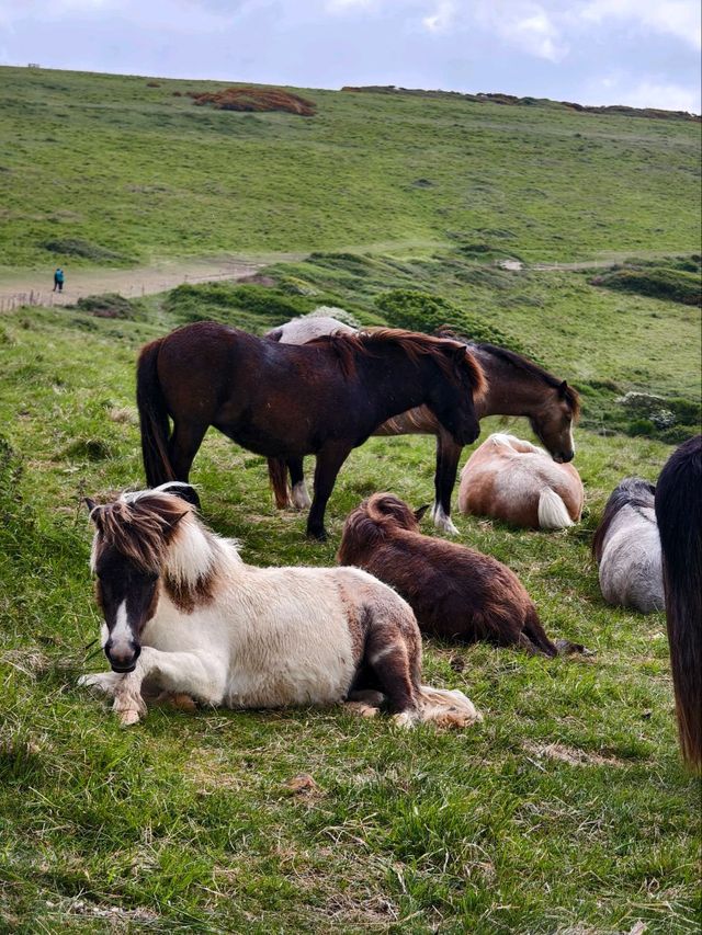 Seven Sisters Hike Seaford to Eastbourne