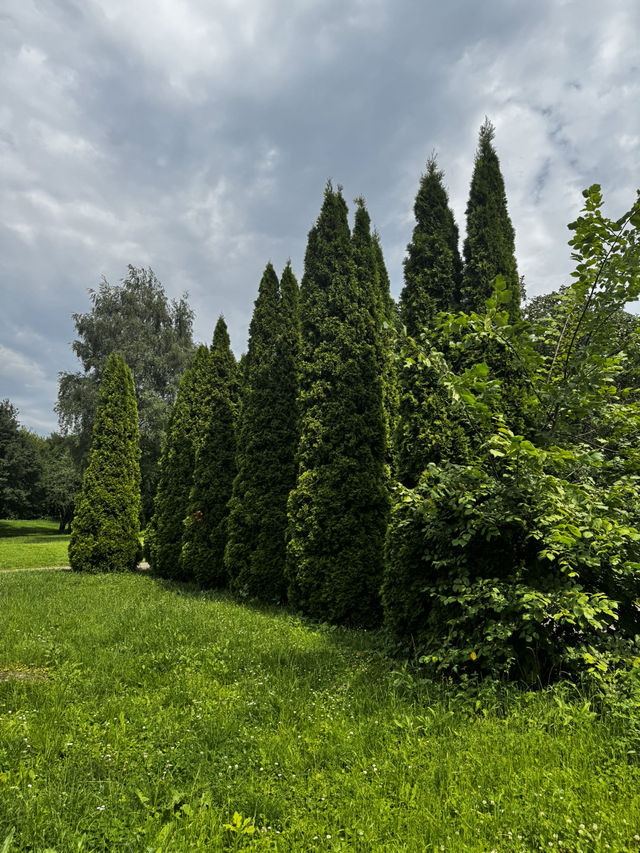 Tsaritsyno countryside 2025