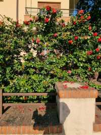 🛥 Sestri Levante – A Quieter Alternative to Cinque Terre