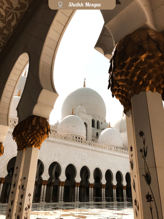 🕌 Abu Dhabi: the stopover you didn’t know you needed.