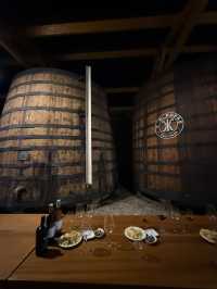 🍇Stunning Port Wine Tasting Trip to Douro Valley🍷