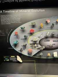 Exploring New York City: American Museum of Natural History & Times Square