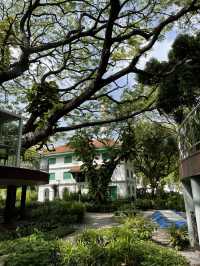 🌿 Malé Parks – Green Escape in the Heart of the Maldives 🌴✨
