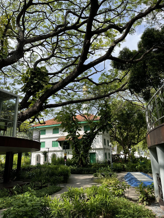 🌿 Malé Parks – Green Escape in the Heart of the Maldives 🌴✨