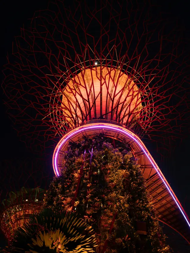 新加坡週末：完美的城市綠洲