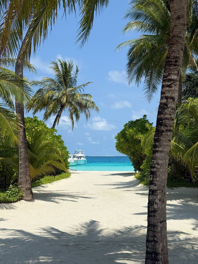Velassaru Maldives — Where Every Sunset Feels Like a Love Letter