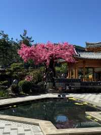 Почему стоит посетить горячие источники Пияньшань?