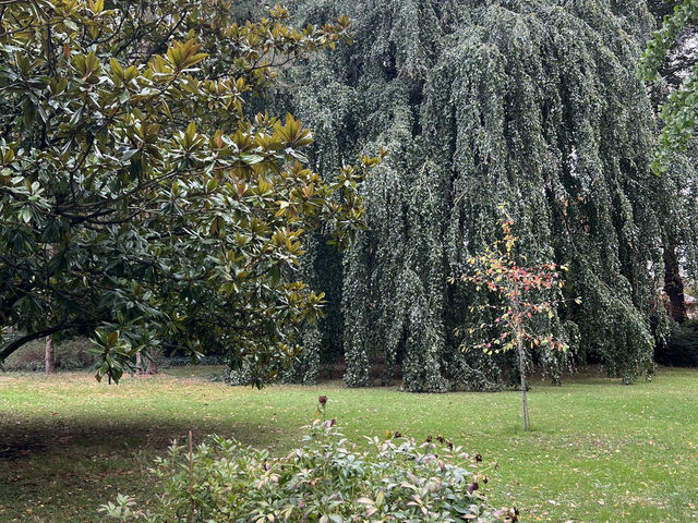 光與靜的對話:里爾多明我會修道院之行 光與靜的對話:里爾多明我會修道院之行