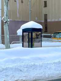 Ice Views Await❄️