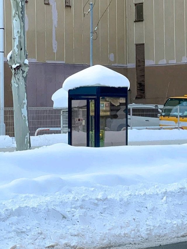 Ice Views Await❄️